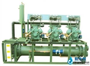 都靈半封閉多并聯(lián)冷凝機(jī)組