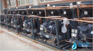 意大利都靈冷庫(kù)專(zhuān)用機(jī)組